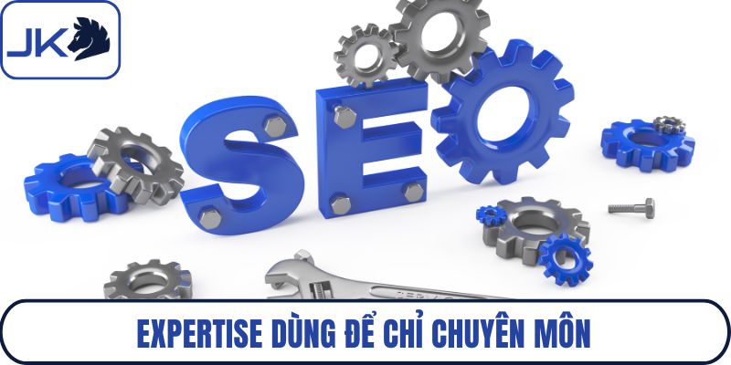Expertise dùng để chỉ chuyên môn