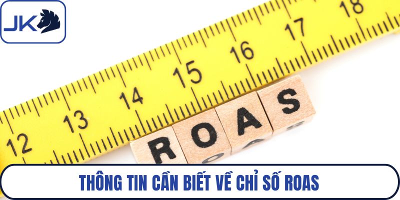 Thông tin cần biết về chỉ số ROAS